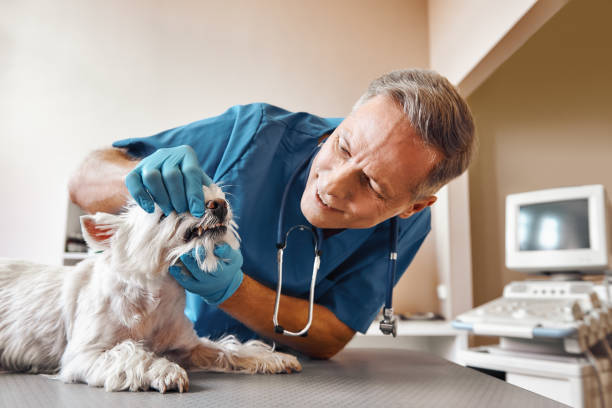 Best Emergency Treatment for Oral Infections in Audubon, IA